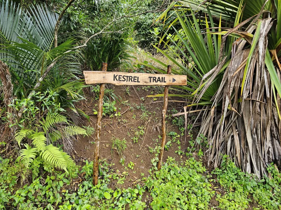Señalización de senderos en el Bosque de Ébano