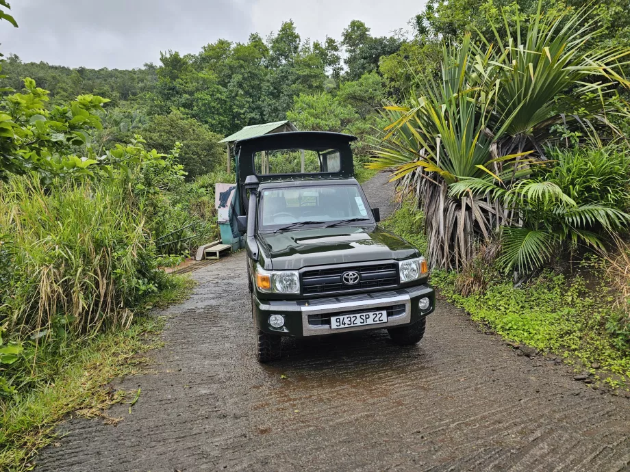 Jeep en el Bosque de Ébano