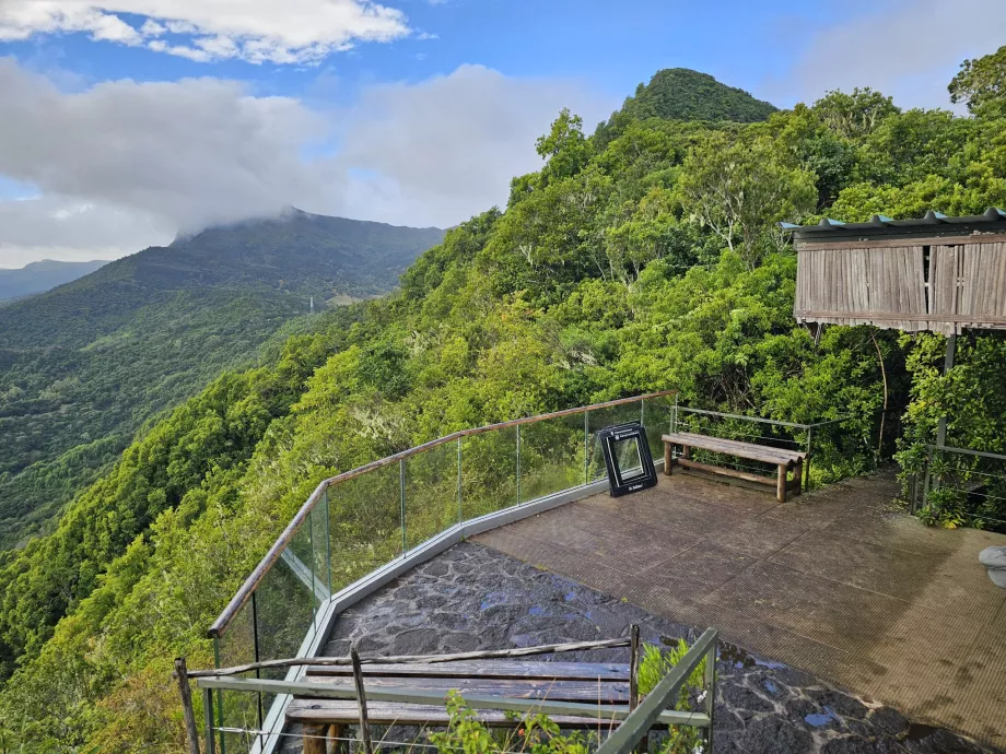 Vista desde la cafetería del Bosque de Ébano
