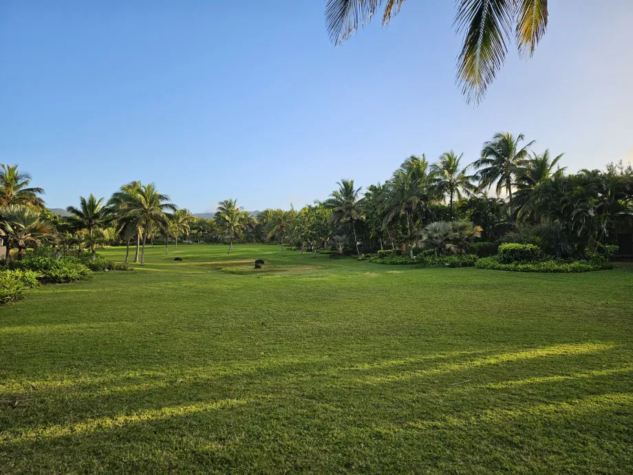 Jardín del hotel
