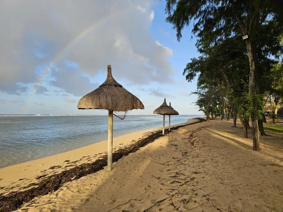 Playa del hotel