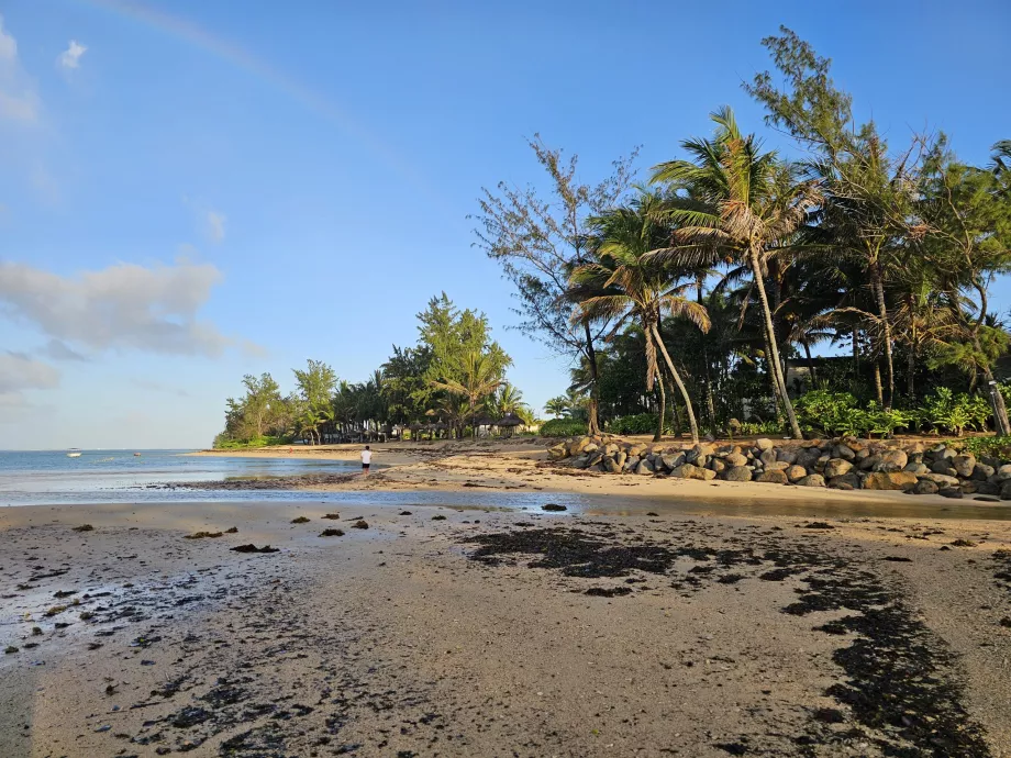 Playa del hotel
