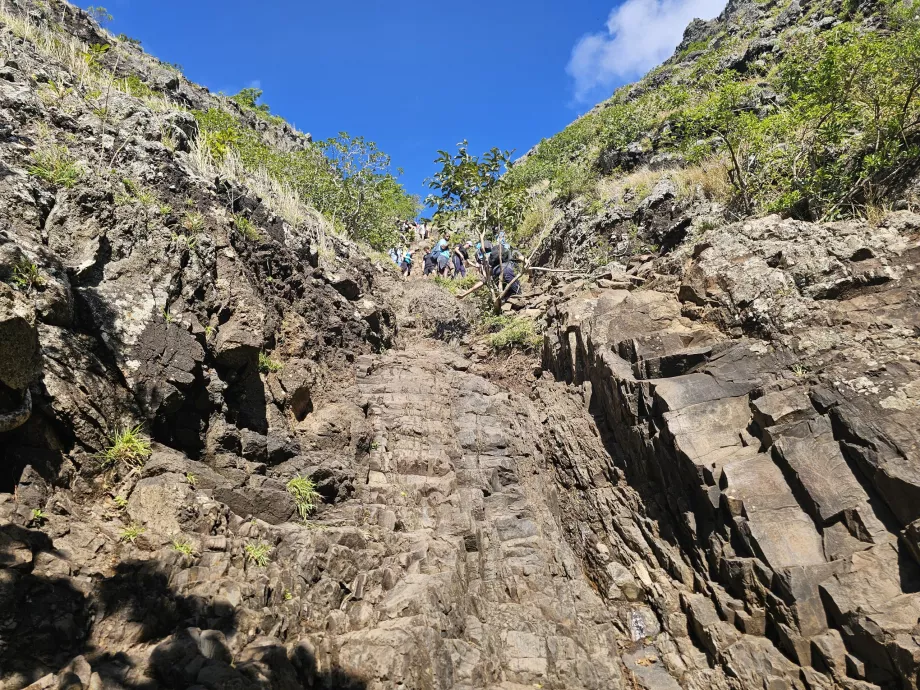 Sección de escalada