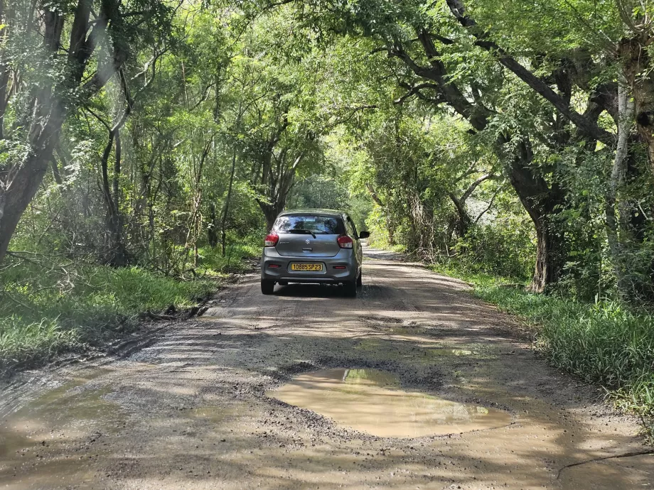 Carretera de acceso a Le Morne