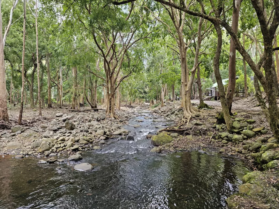 Parque Nacional de las Gargantas del Río Negro