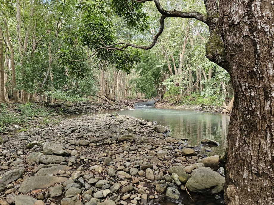 Parque Nacional de las Gargantas del Río Negro