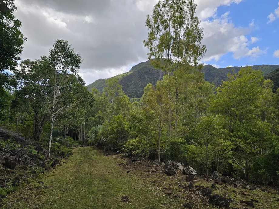 Parque Nacional de las Gargantas del Río Negro