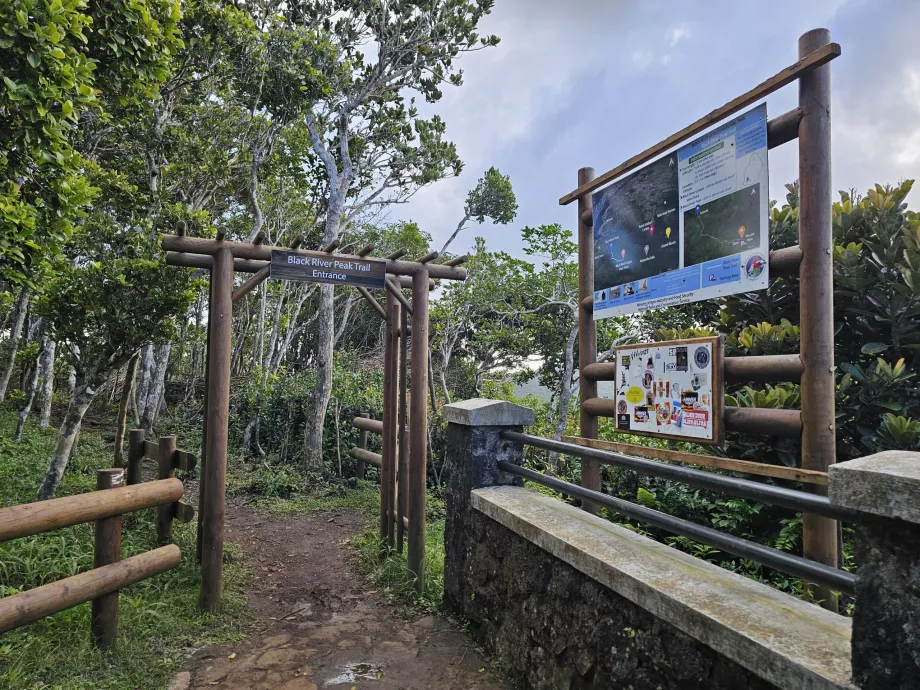 Sendero Black River Peak