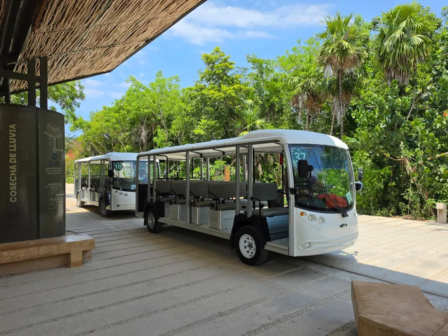 Yacimiento arqueológico de Tulum, transporte en autobús eléctrico