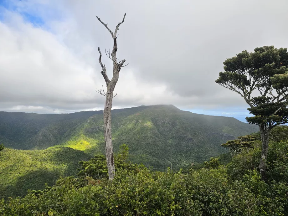 Vista desde Machabee Loop