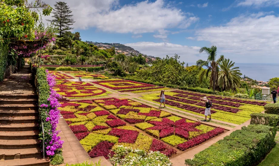 Jardín Botánico