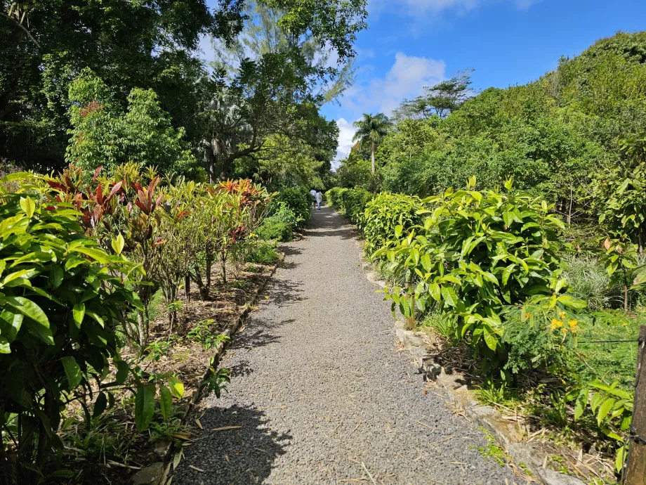Saint Aubin, jardín botánico