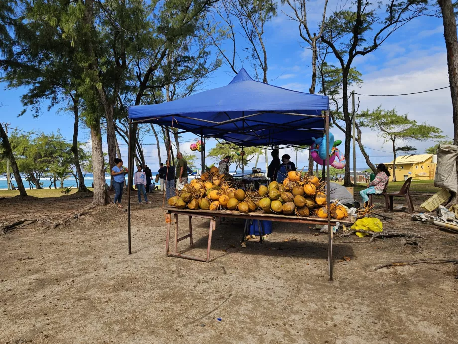 Cocos en la playa