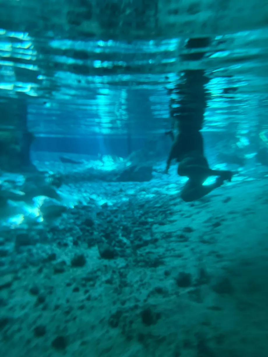 Una vista bajo el agua en el Gran Cenote