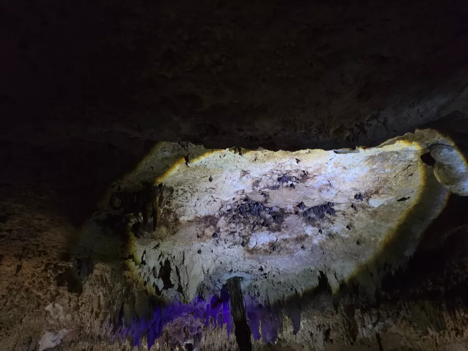 Cueva de Aktun Chen