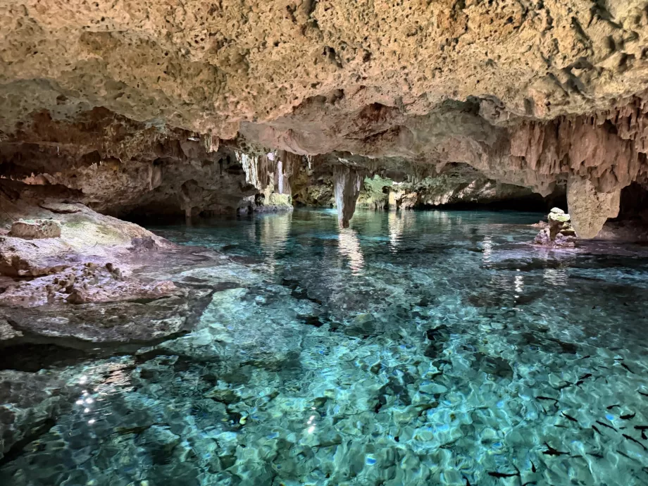 Cenote de Aktun Chen