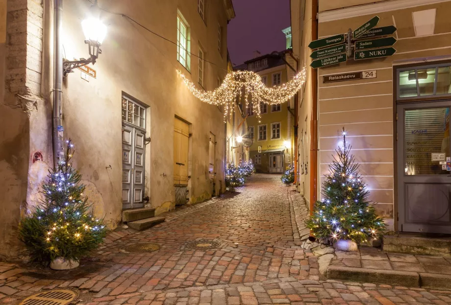 Calle Tallin