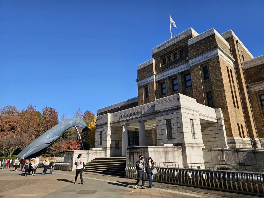 Museo de Historia Natural