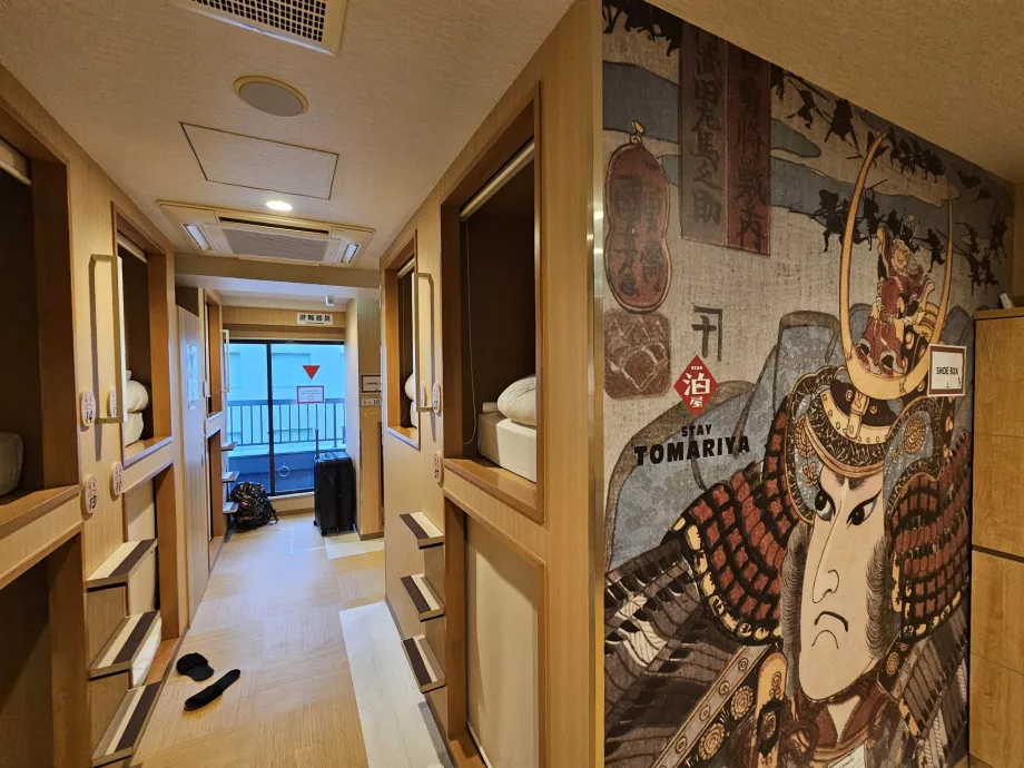 Zona común y cápsula superior