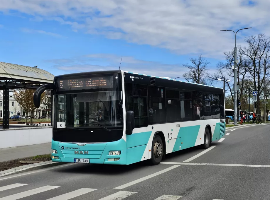 Autobuses Tallin