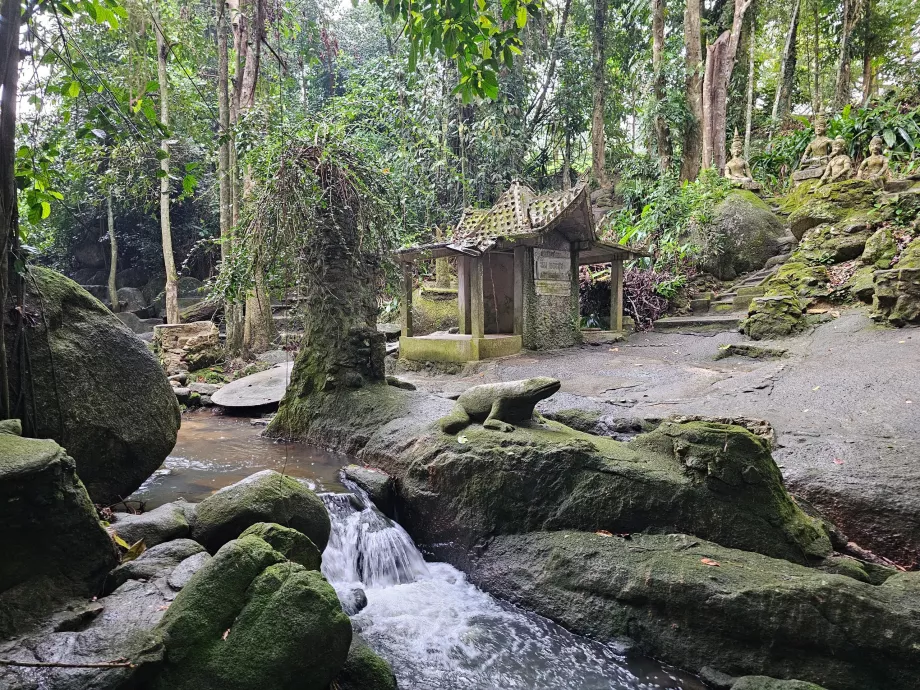 Jardín mágico de Tamrin