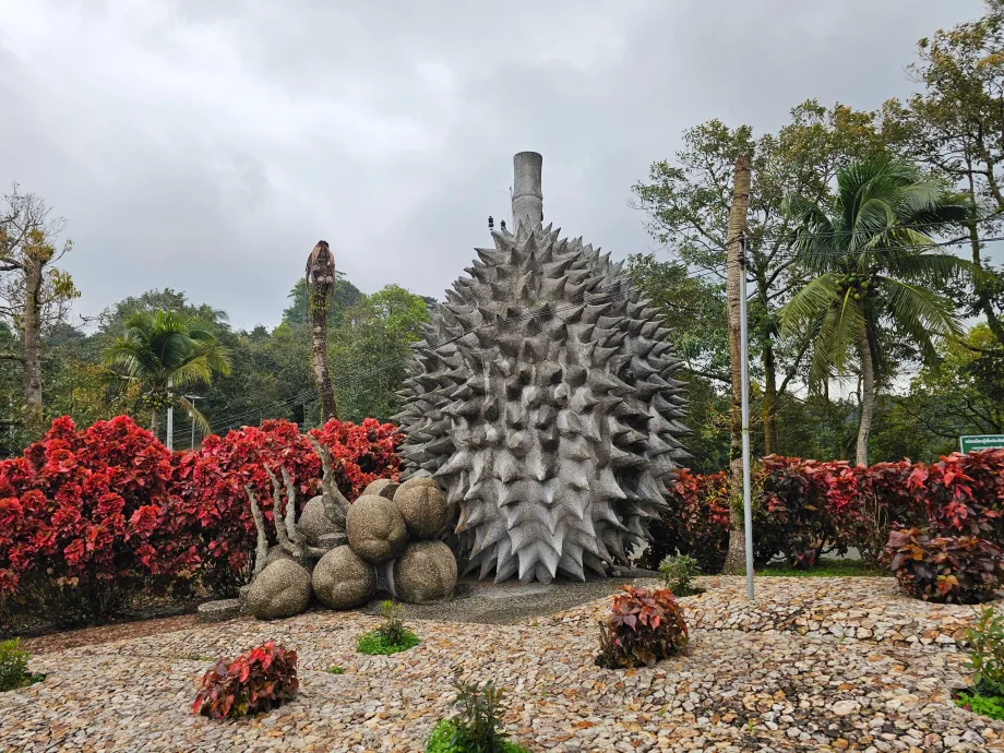 Frutas de piedra mágicas
