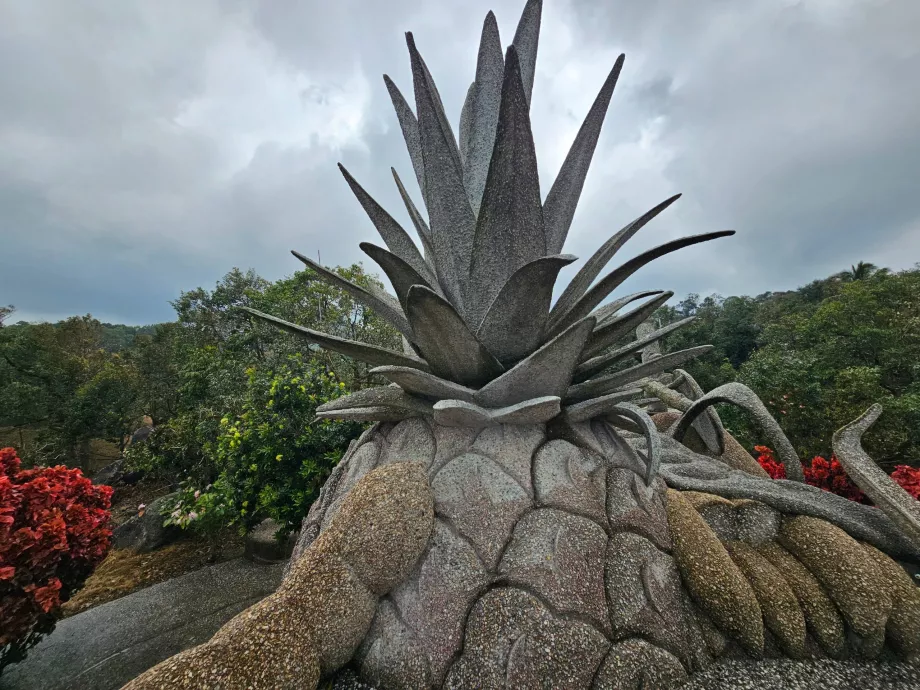 Frutas de piedra mágicas