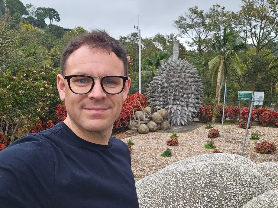 Frutas de piedra mágicas