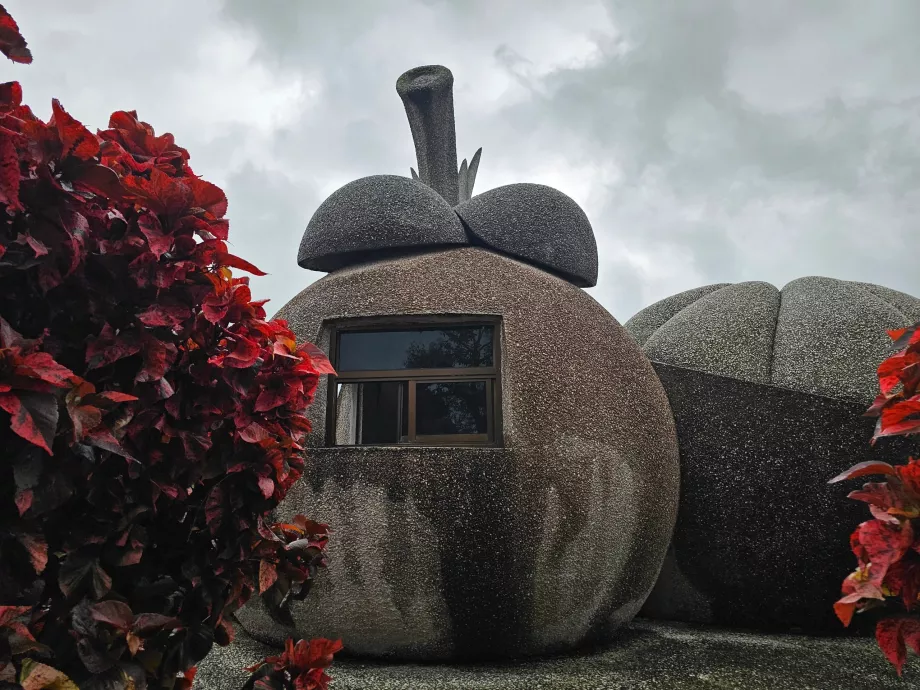 Frutas de piedra mágicas