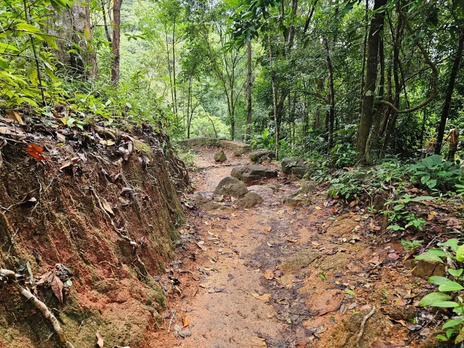 Camino a la cascada de Namuang 2