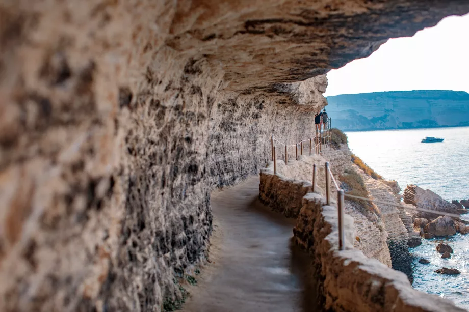 Camino de Bonifacio