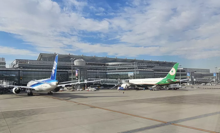 Terminal internacional 3