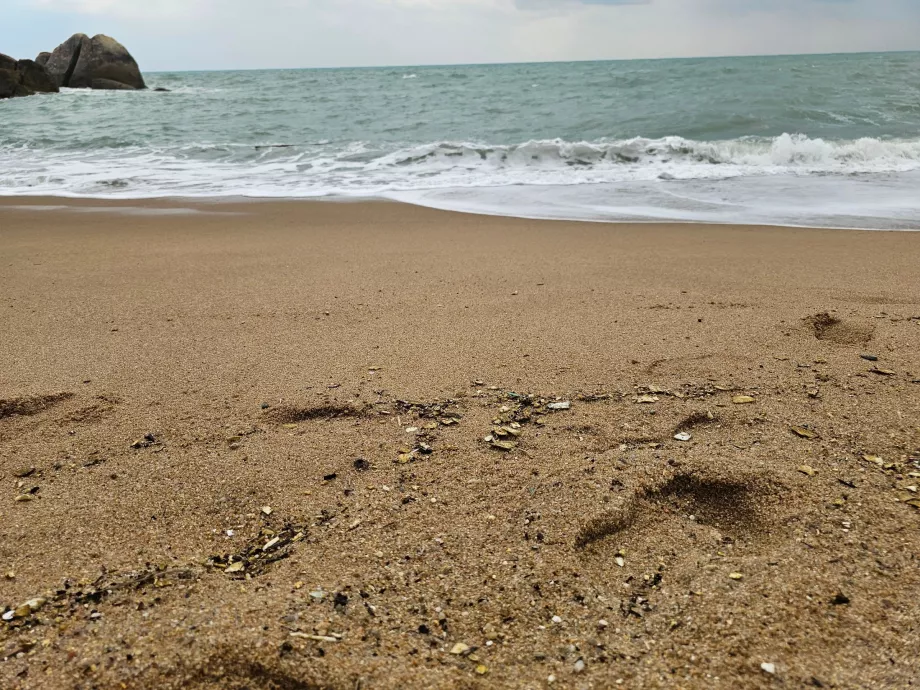 Playa de Coral Cove, calidad de la arena