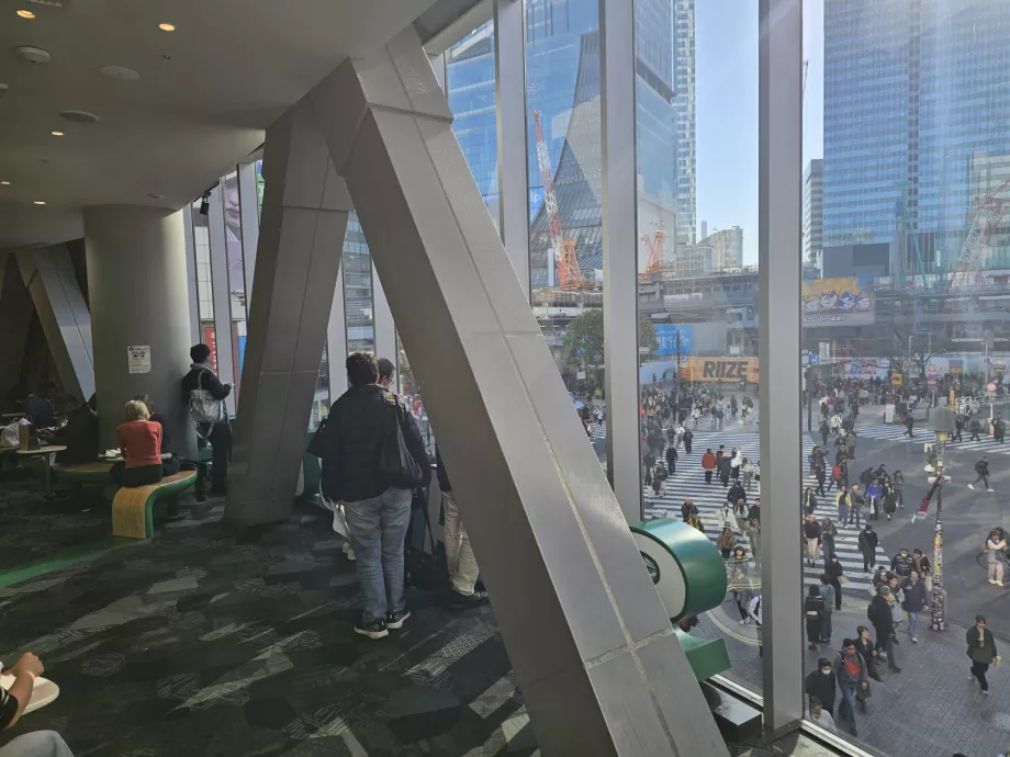 Vista desde Starbucks