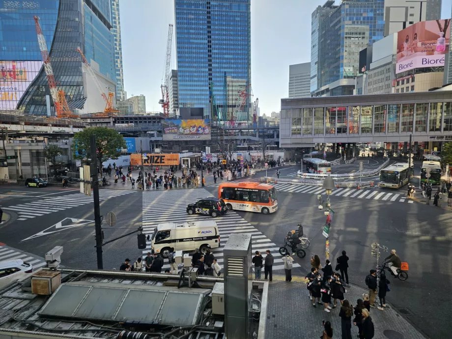 Shibuya Junction desde Starbucks