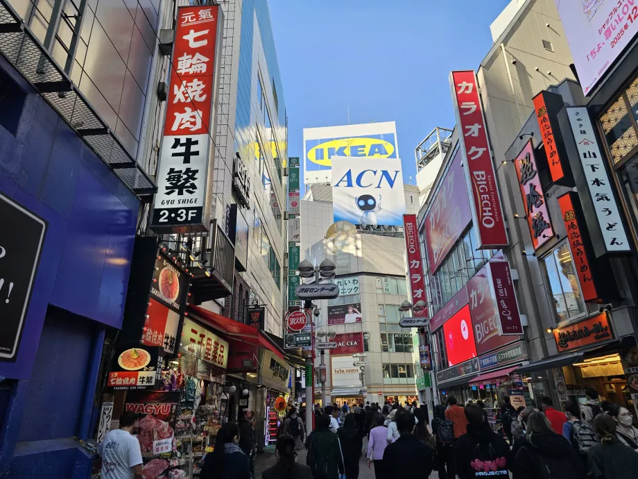 Calle comercial de Shibuya