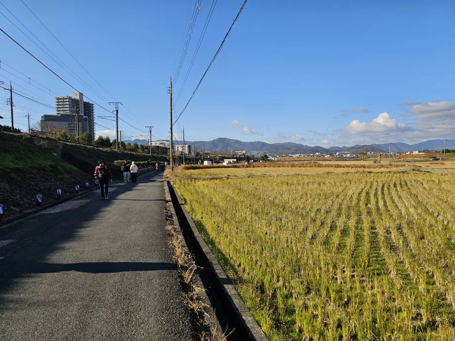 Paseo desde la estación hasta el barco