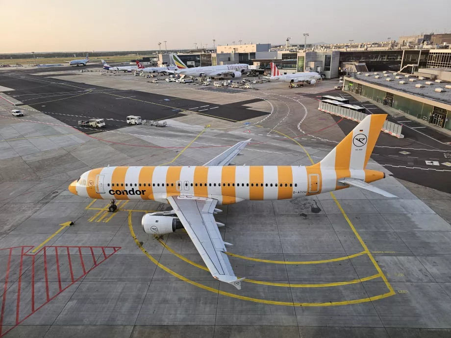 Un Airbus A320 amarillo en el aeropuerto de Fráncfort