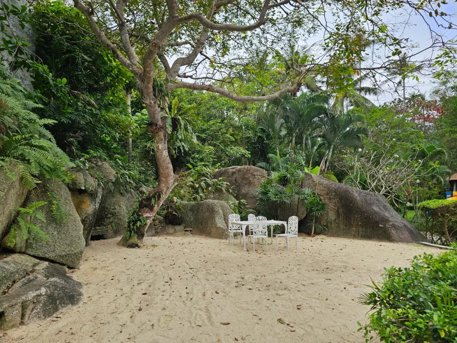 Sentado en el jardín