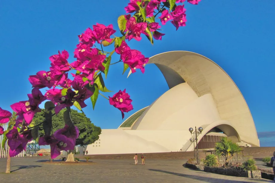 Auditorio Santa Cruz