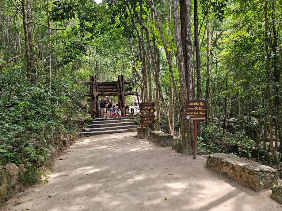 Horarios de apertura