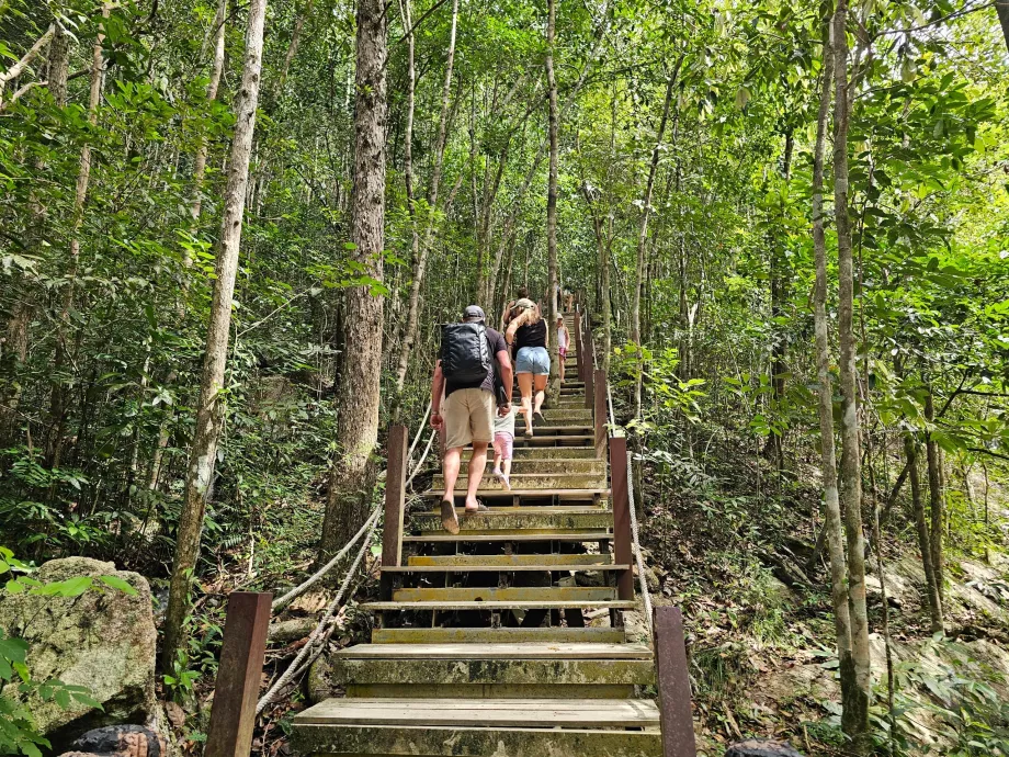El camino a las cascadas