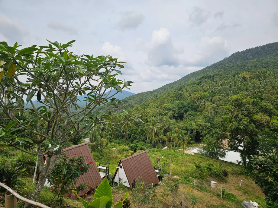 Selva en el interior de Koh Phangan