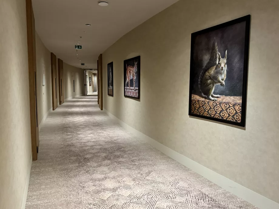 Pasillo a las habitaciones