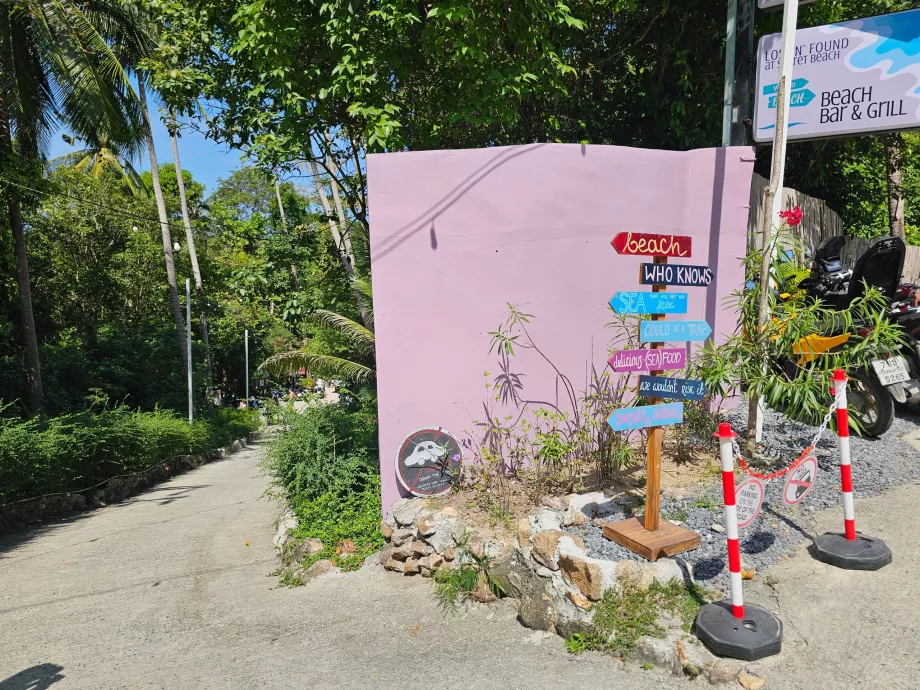 El camino a Secret Beach