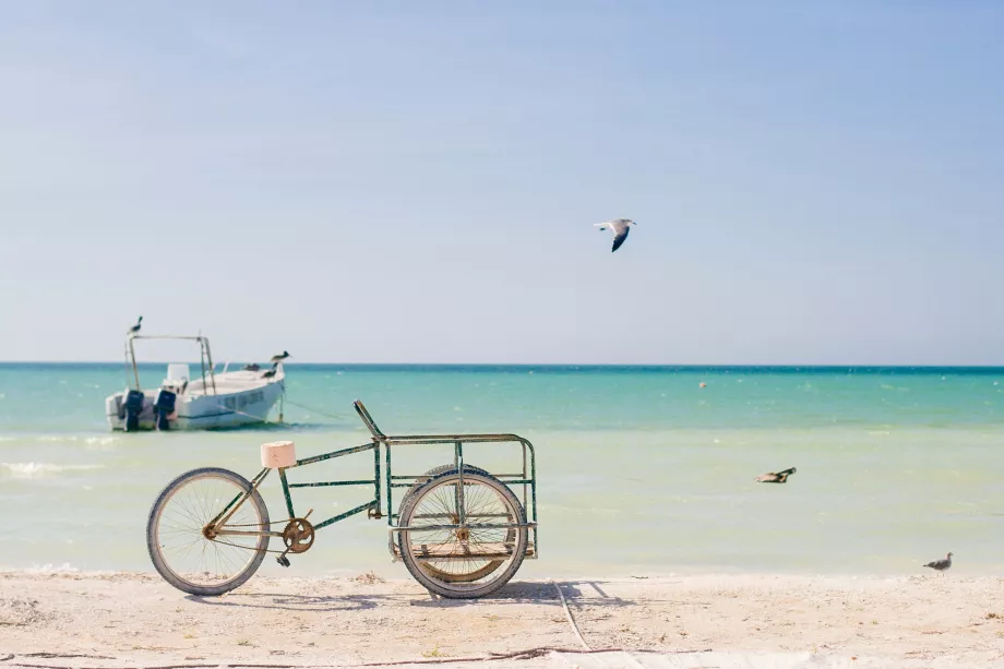 Holbox