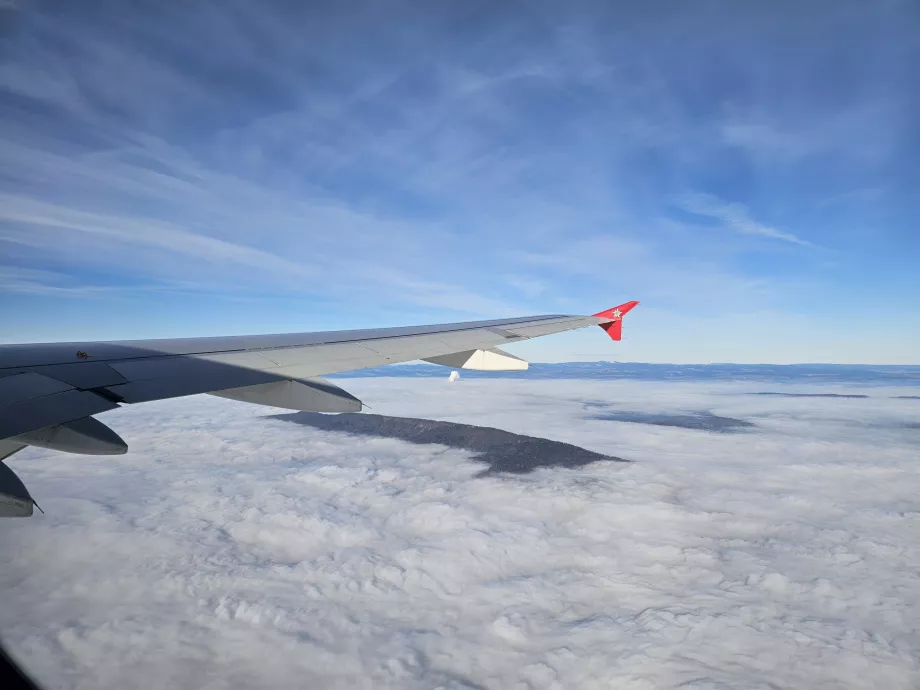 Edelweiss en vuelo