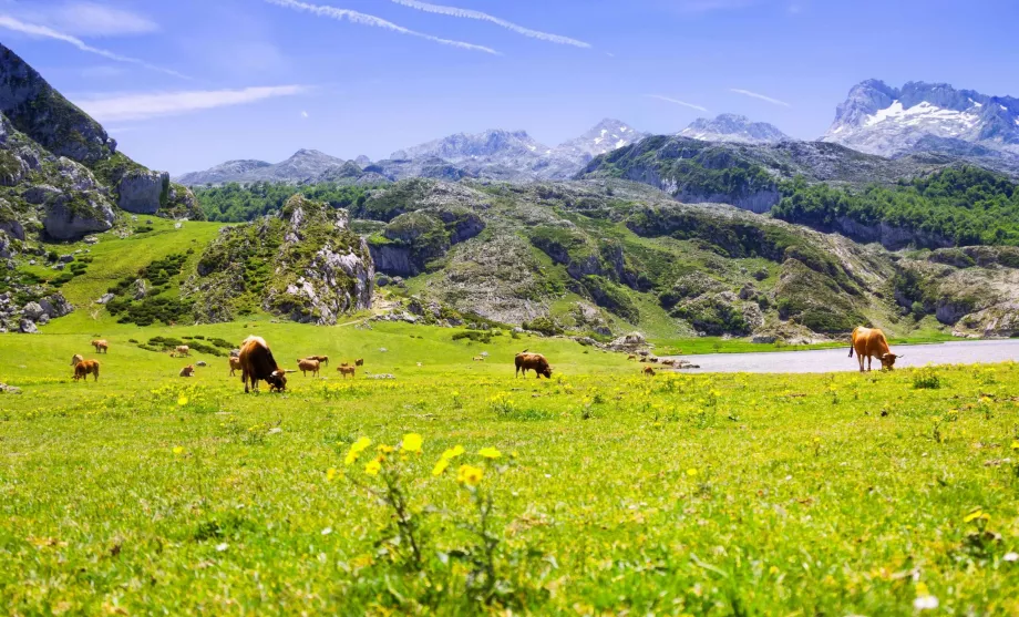 Asturias