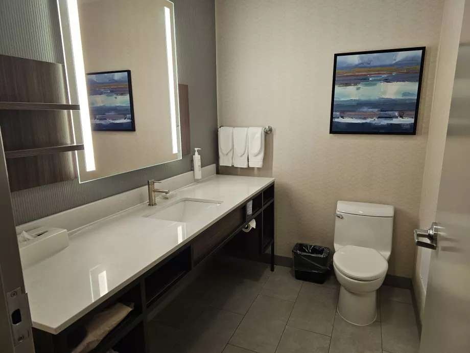 Hilton Garden Inn, baño