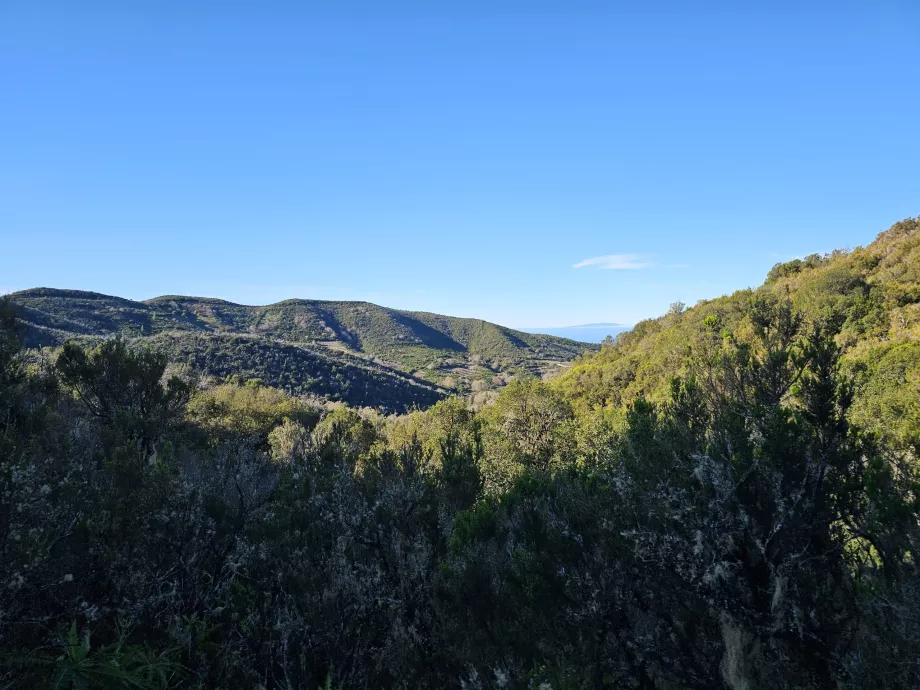 Paisaje alrededor de Laguna Grande